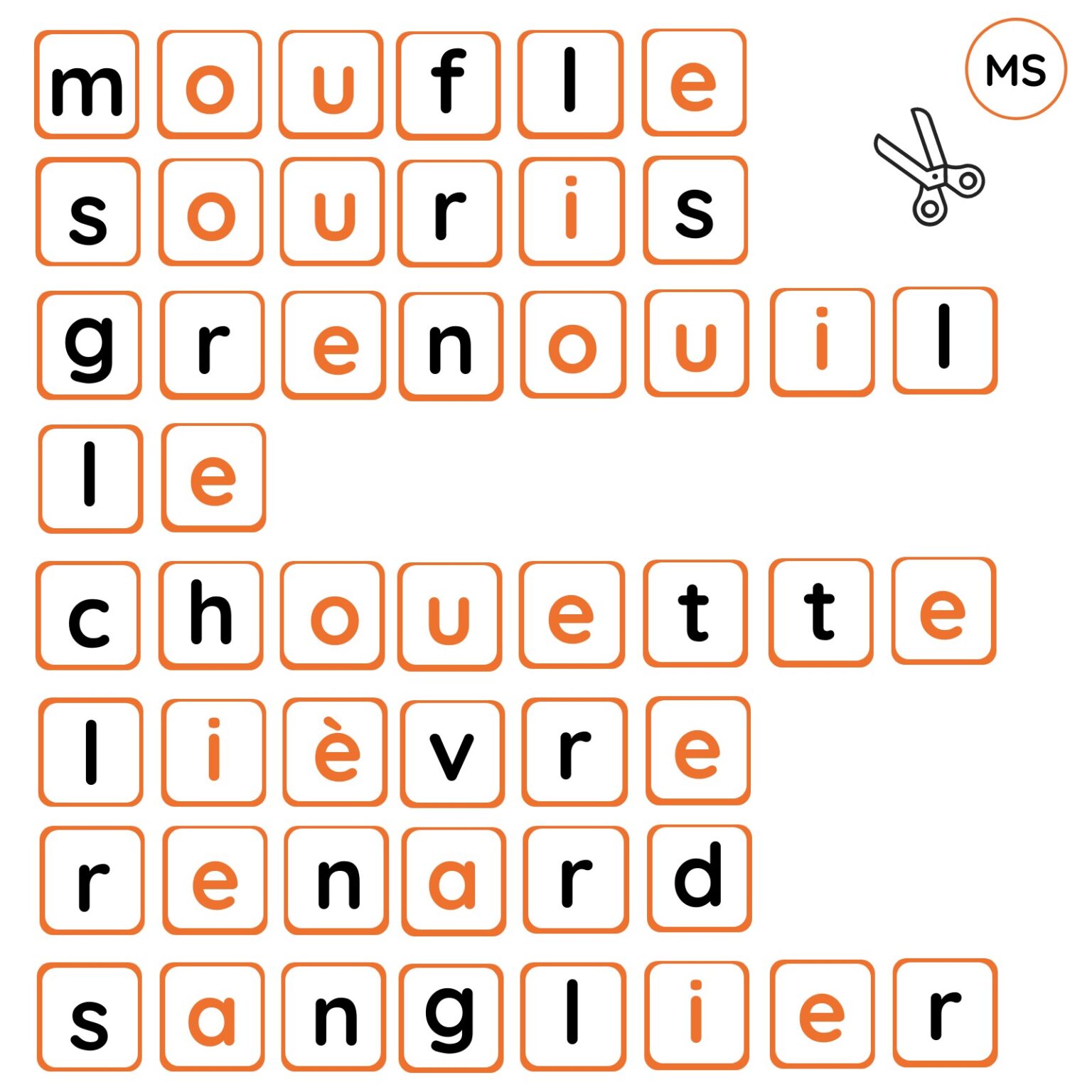 Encodage mots - LA MOUFLE - MS
